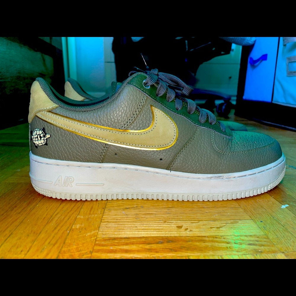 Nike Air Force 1 turtle